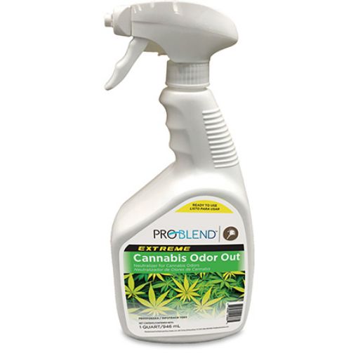 Picture of CANNABIS ODOR ELIMINATOR, 6/CT